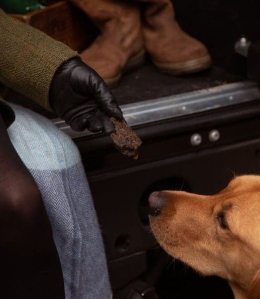 Liver Delights 250 g, view: 1