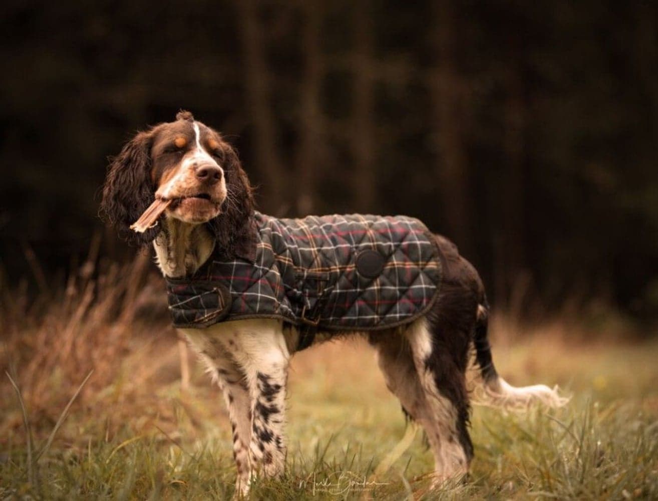 Beef Delights 10 pcs, view: 1