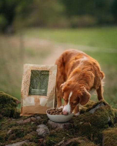 Eternal Living 10 kg, view: 4