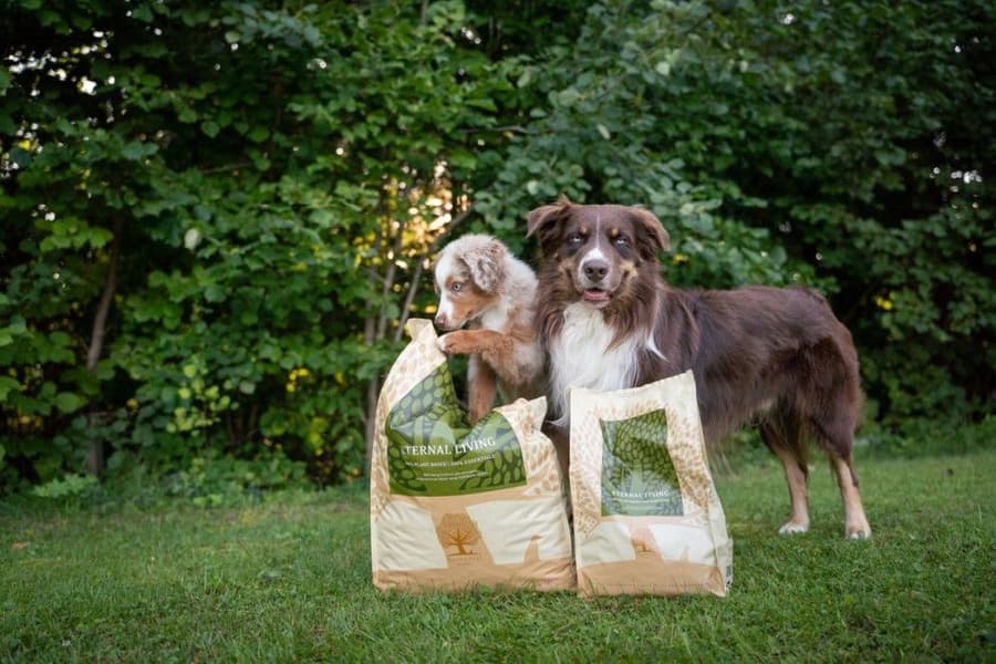 Eternal Living 2,5 kg, view: 3