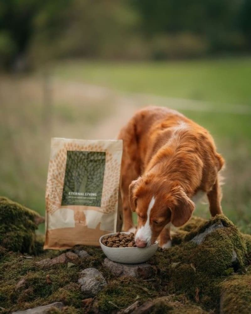 Eternal Living 2,5 kg, view: 4