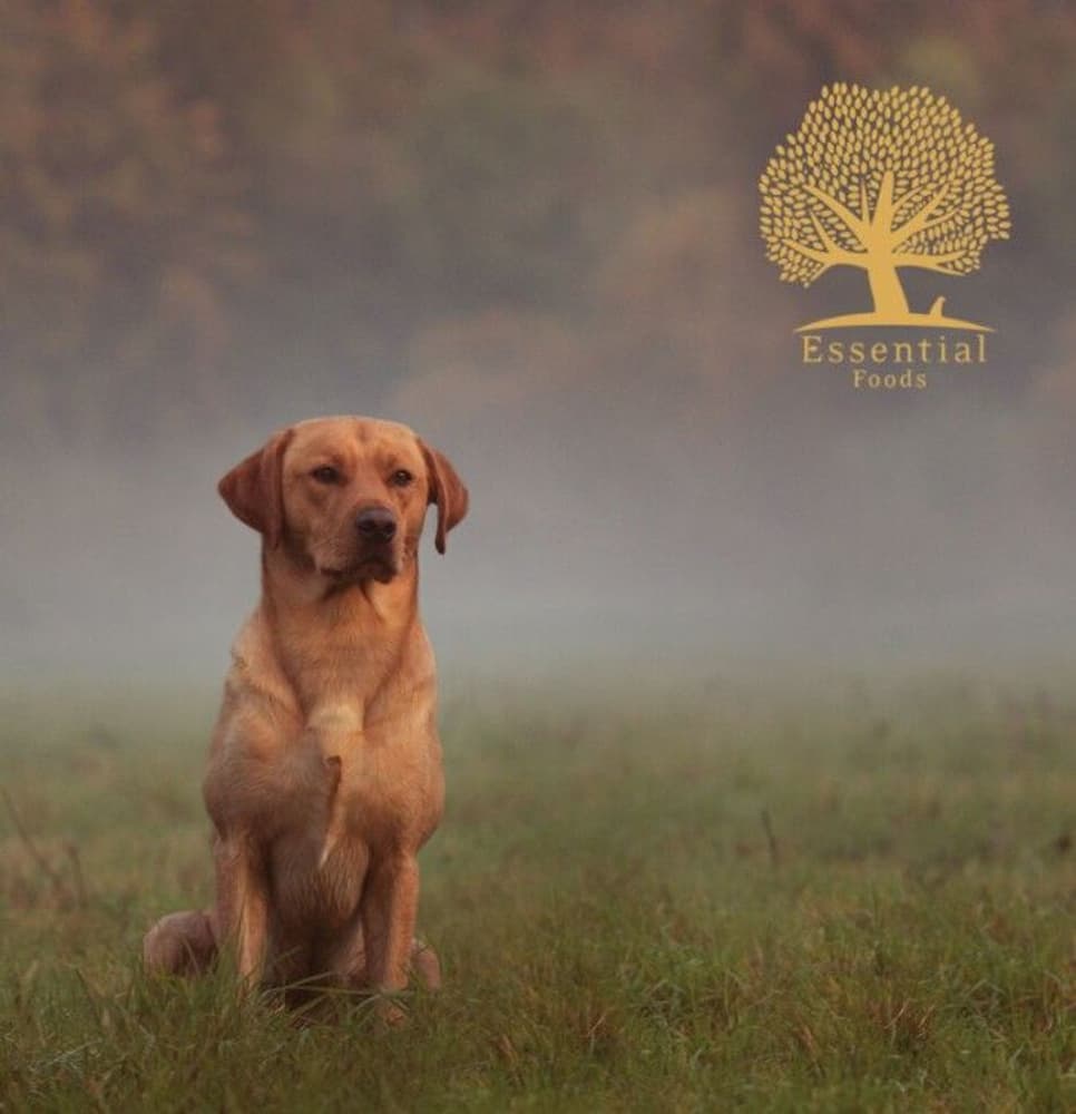 Our Finest Eternal Living 10 kg, view: 1