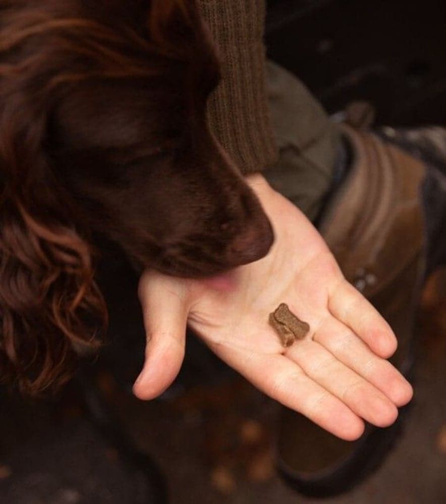 Salmon Mini Delights 100 g, view: 1