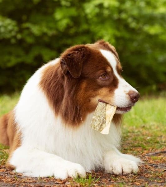 Iceland Fish Delights 100 g, view: 1