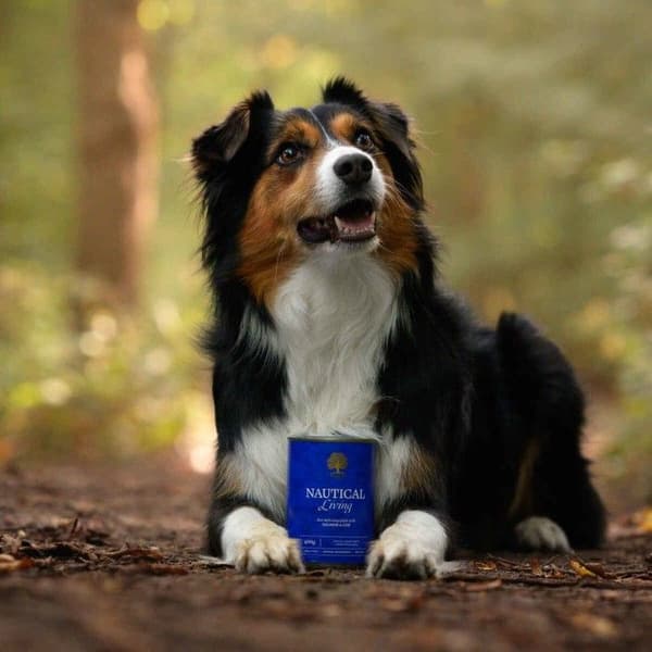 Nautical Living Pâté 400 g, view: 2