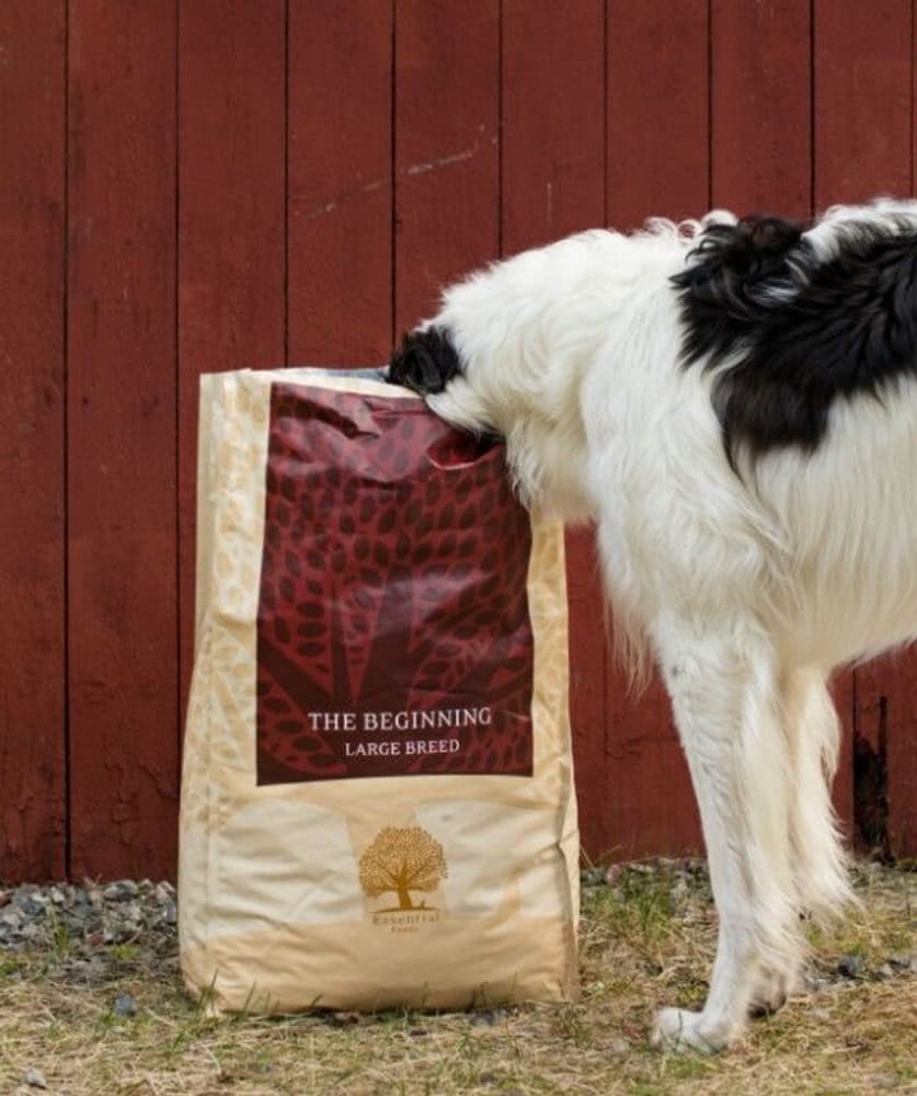 The Beginning Large Breed 12 kg, view: 2