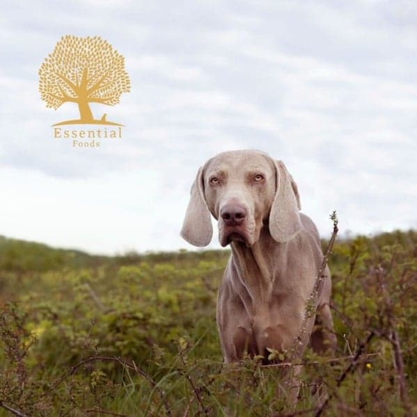 Small Size Nautical Living 2,5 kg, view: 2