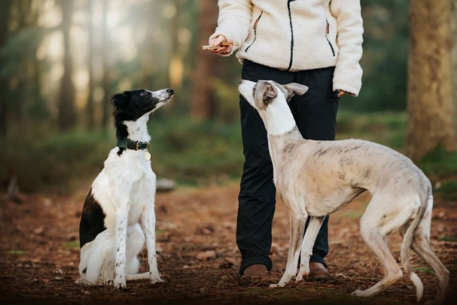 Grain Free Beef & Rabbit Dental Delights 200 g, view: 3