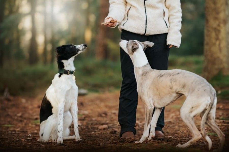 Grain Free Beef & Rabbit Dental Delights 200 g, view: 3