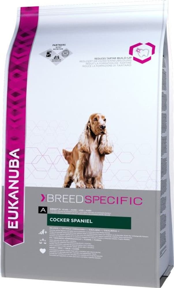 Cocker Spaniel 2,5 kg, view: 0