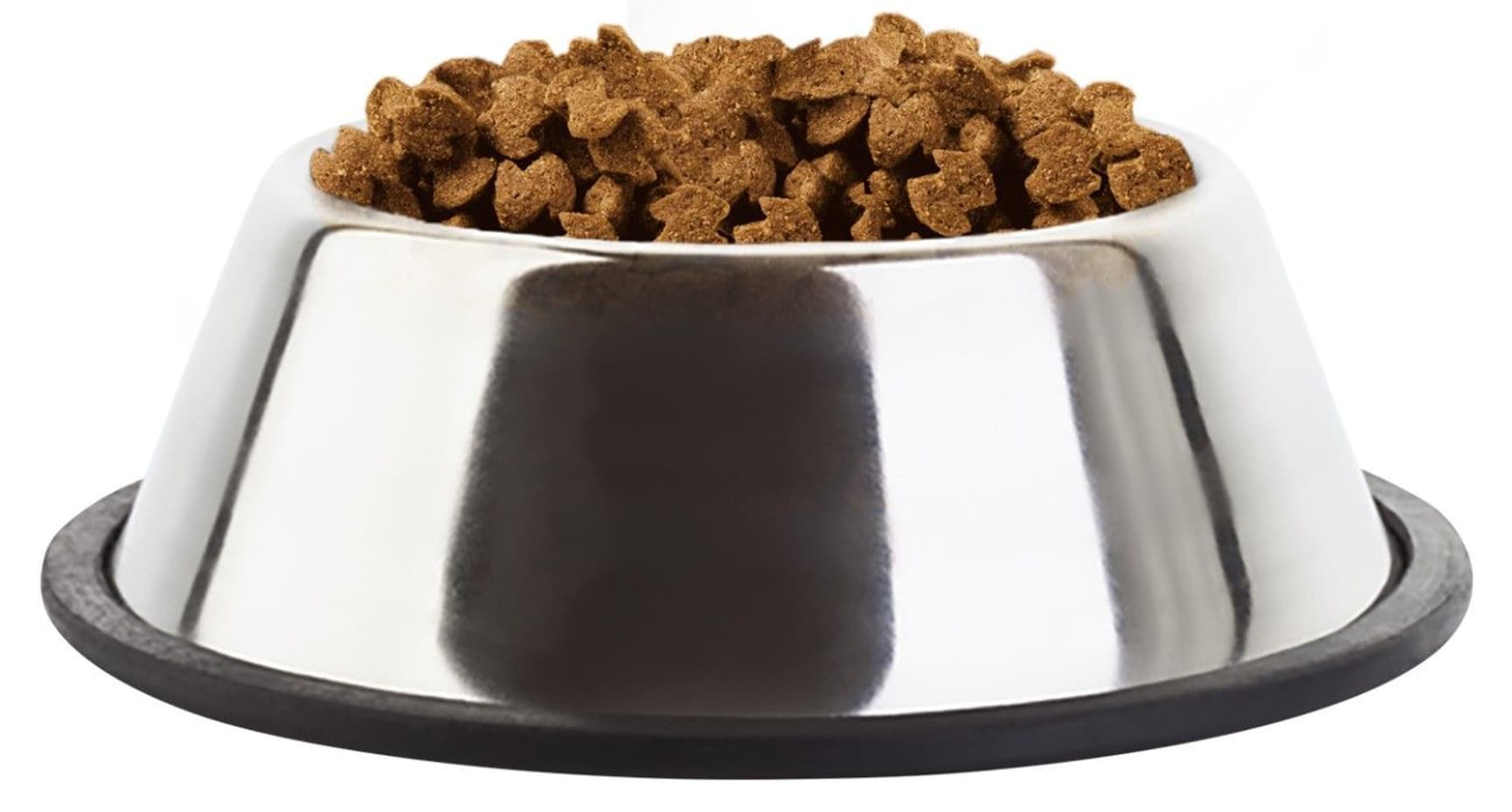 Breed Specific Boxer 12 kg, view: 1