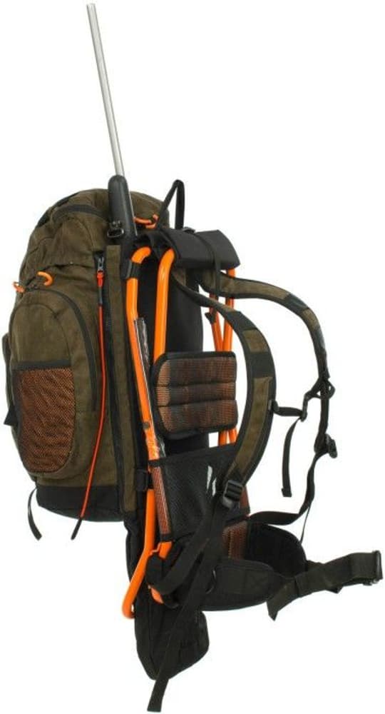 Älgen PRO 35 FH, view: 3