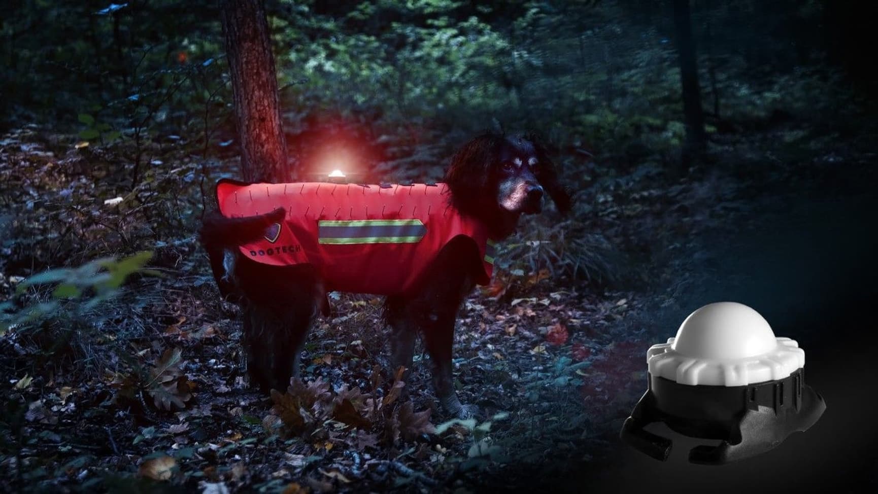 Dogtech Scarab, view: 1