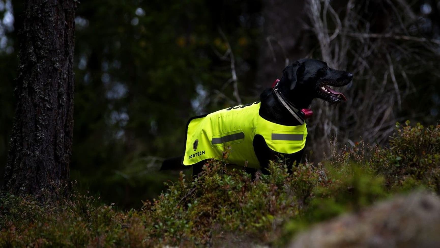 Dogtech ONE Modular Vest Blue, view: 2