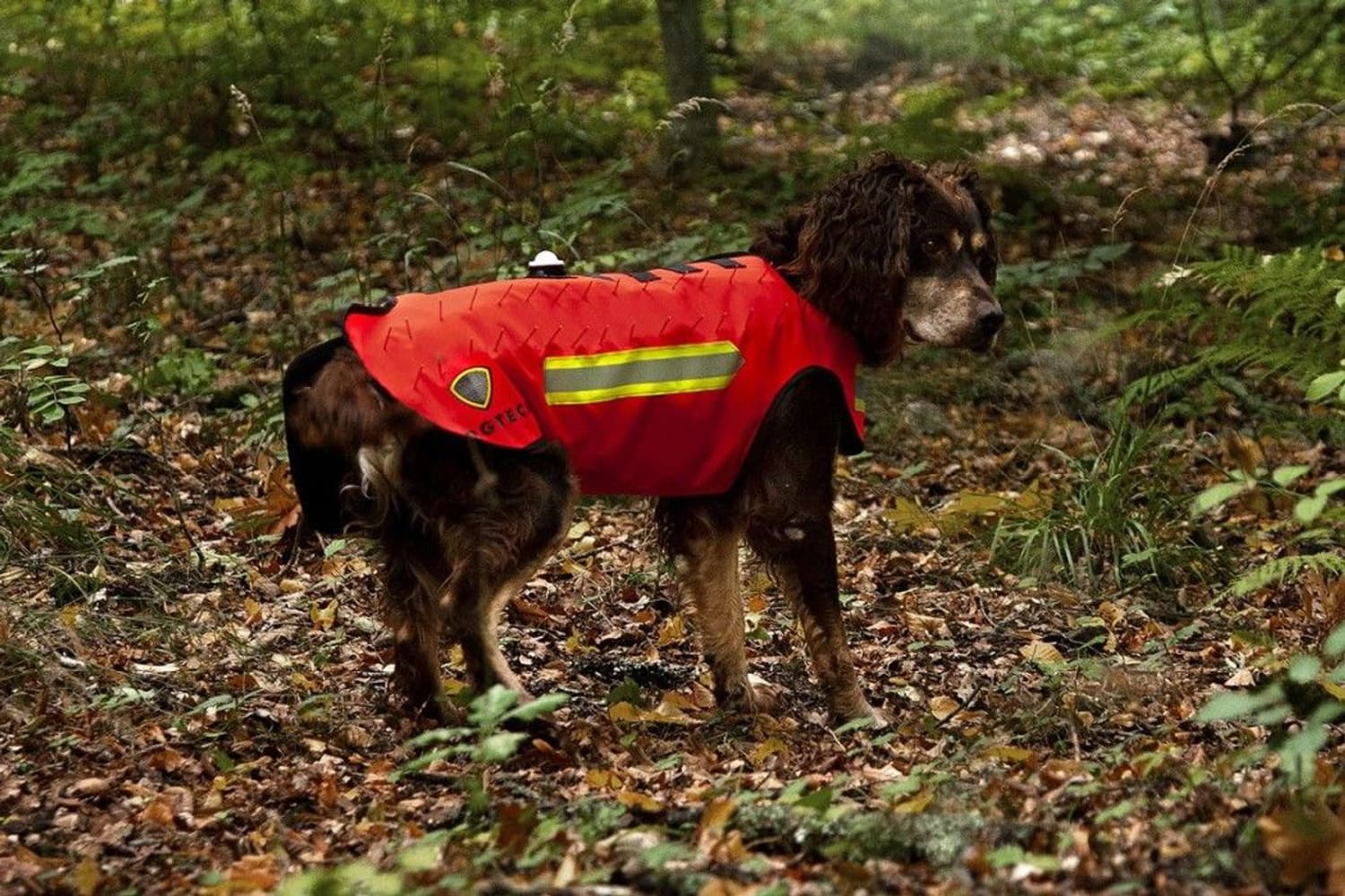 Dogtech ONE Modular Vest Red, view: 1