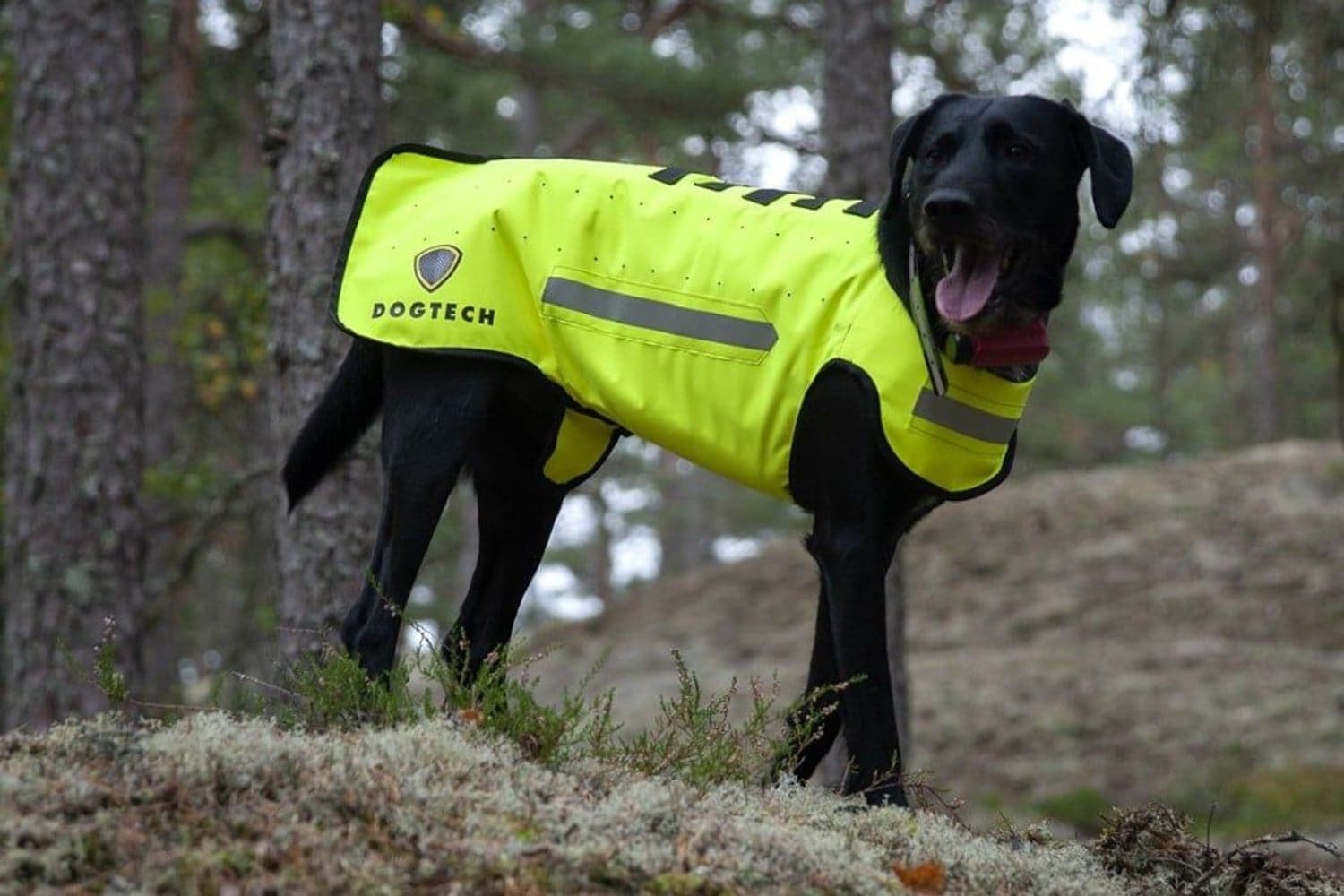 Dogtech ONE Modular Vest Yellow, view: 1