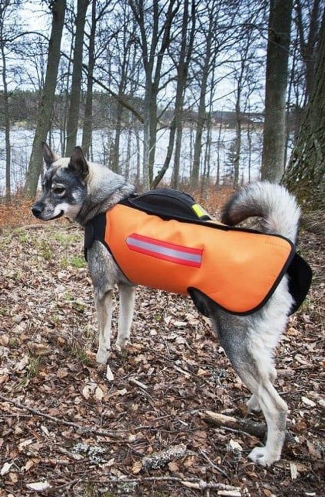 Euro Skyddsväst Vildsvin Orange, view: 2