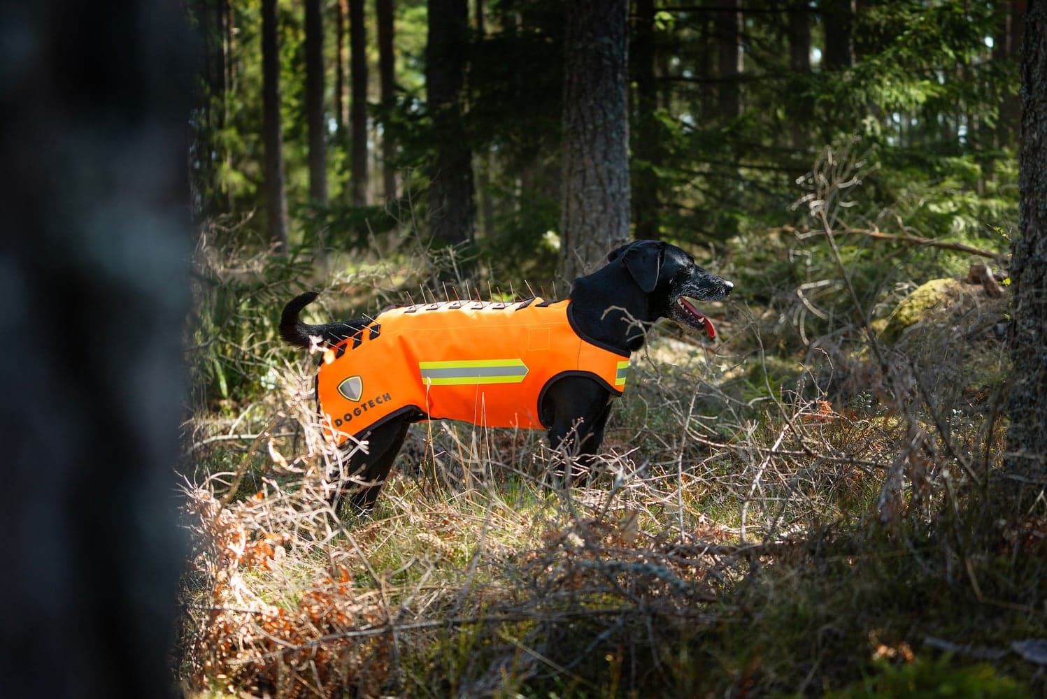 Dogtech One Generation 2 Grundväst Orange, view: 6