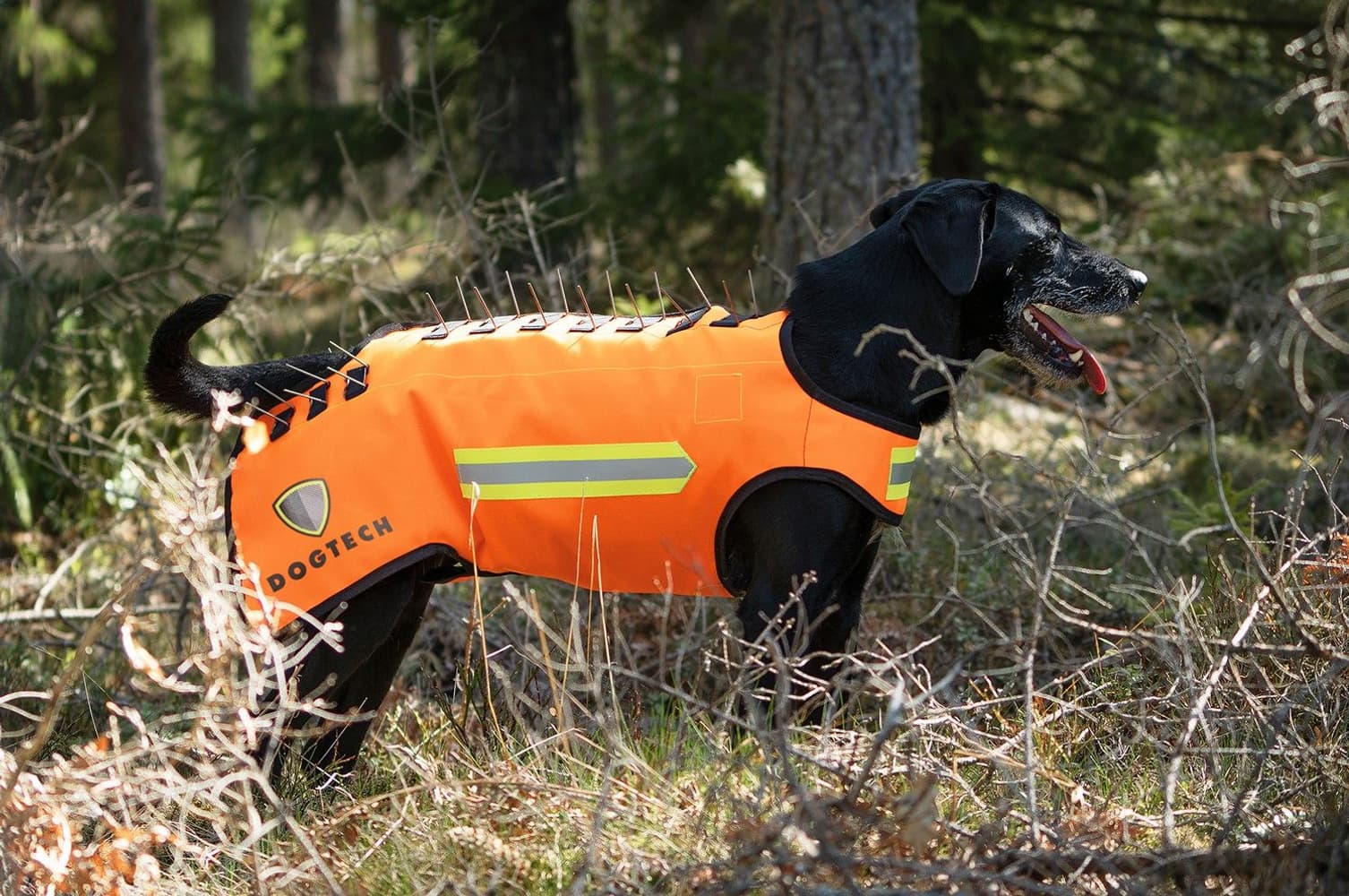 Dogtech One Generation 2 Add-On Vargstål, view: 4