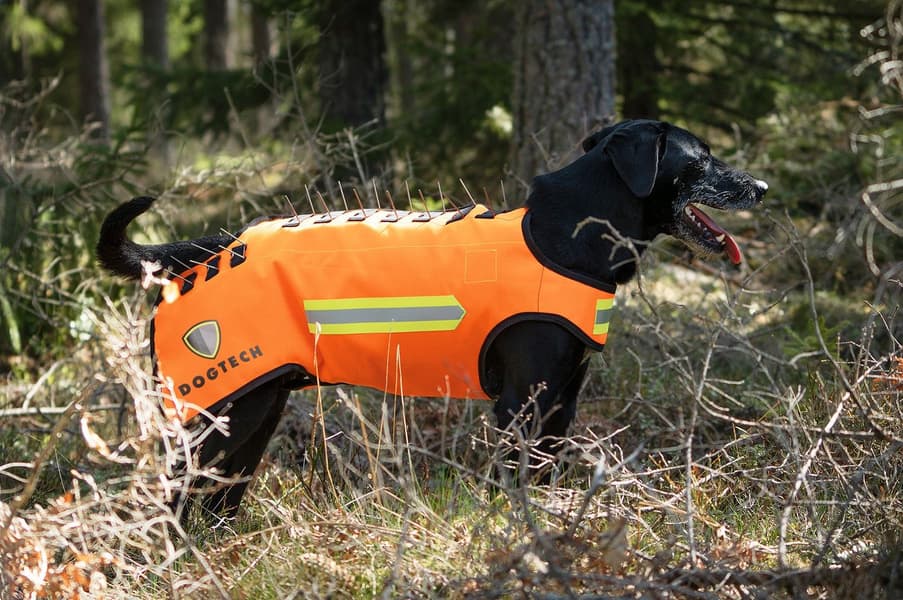 Dogtech One Generation 2 Add-On Vargstål, view: 4