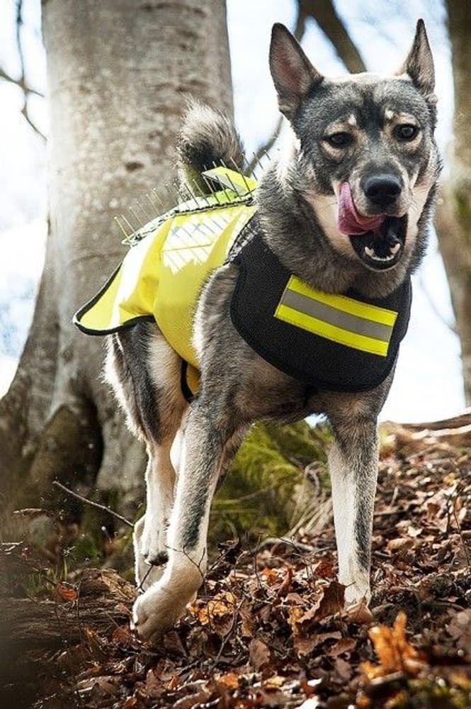 Pro Skyddsväst med fäste för Vargstål, view: 1