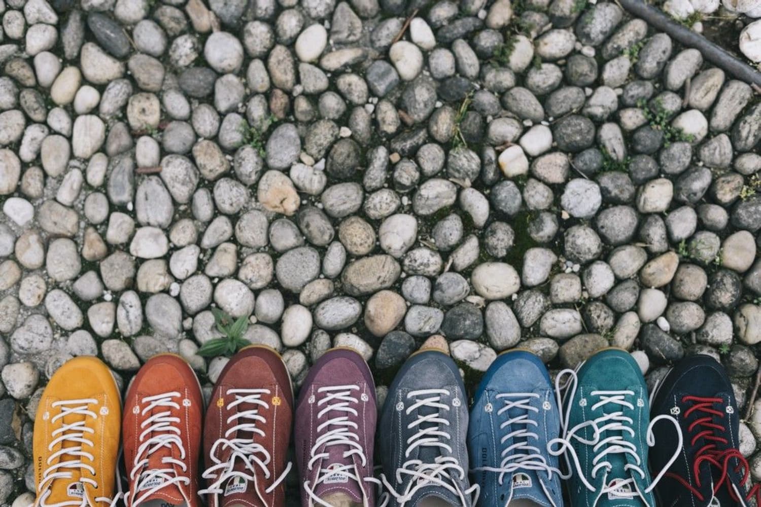 54 Low  Mud/Green, view: 2