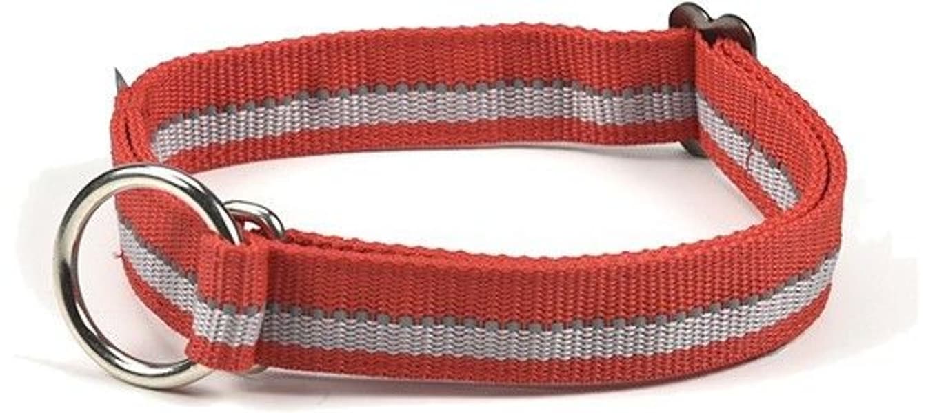 Reglerbart Halvstryp Halsband Röd, view: 0