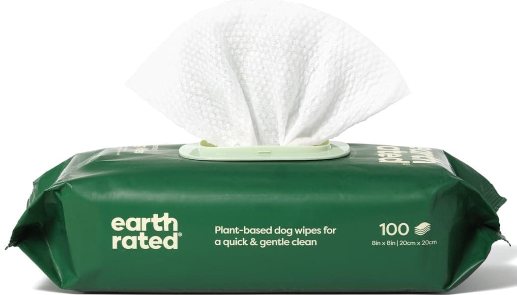 Wipes 100-pack Unscented, view: 1