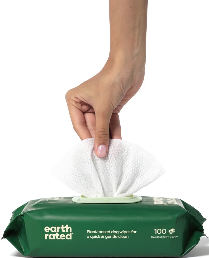 Wipes 100-pack Unscented, view: 2