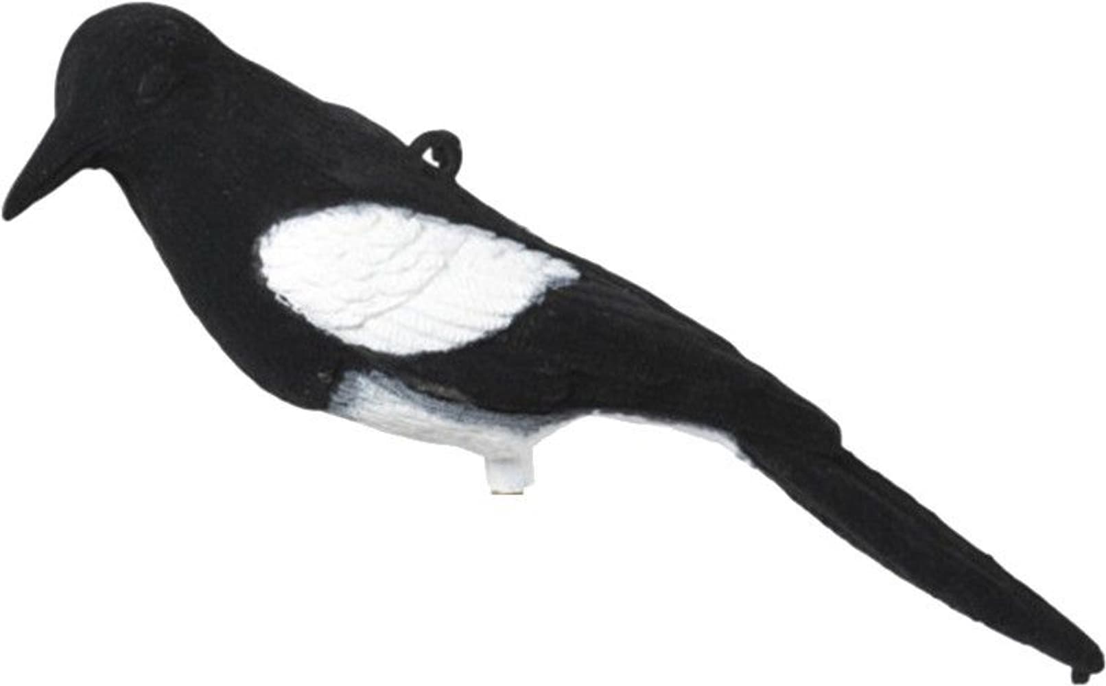 Bulvan Skata, flossad, view: 0