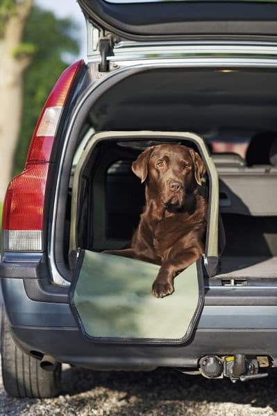 Transportbur L69 x H53 x B52 cm, view: 1