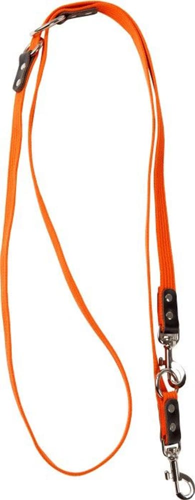 Dressyrkoppel Canvas Orange, view: 0
