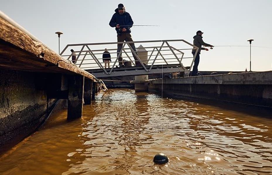 Smart Sonar Chirp+, view: 3