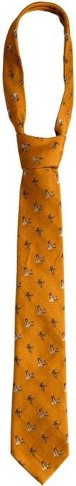 Tie w/ Mallard Golden Glow, view: 0