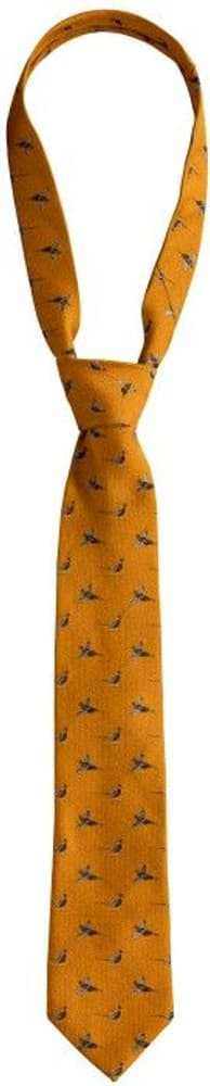 Tie w/ Pheasant Golden Glow, view: 0