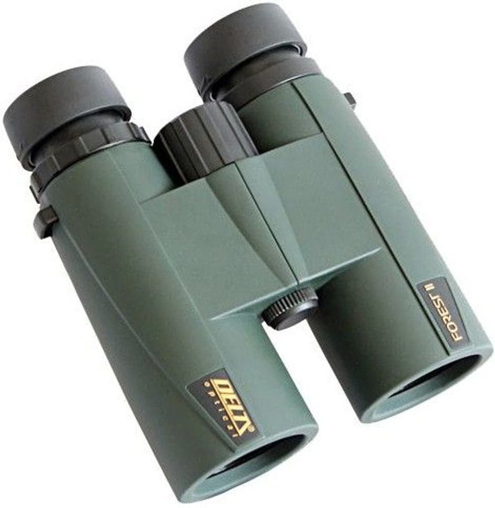 Delta Forest II 10x50, view: 0