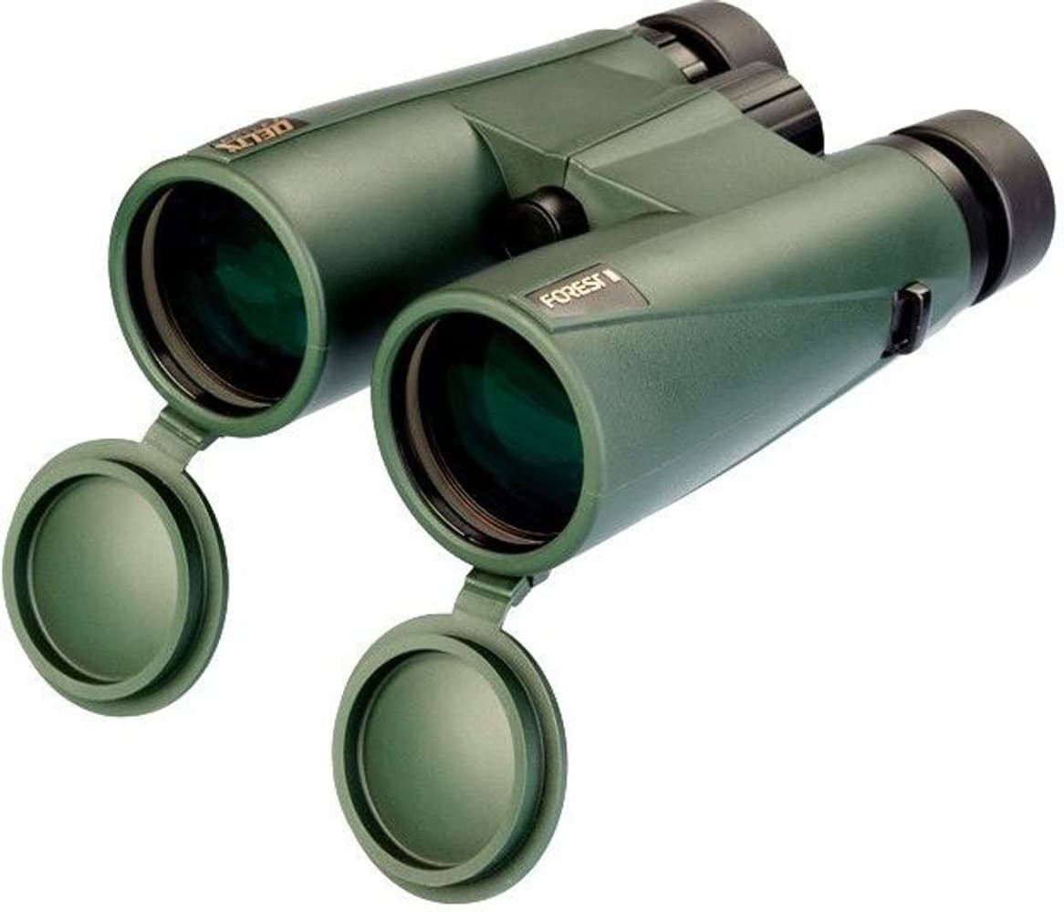 Delta Forest II 10x50, view: 1