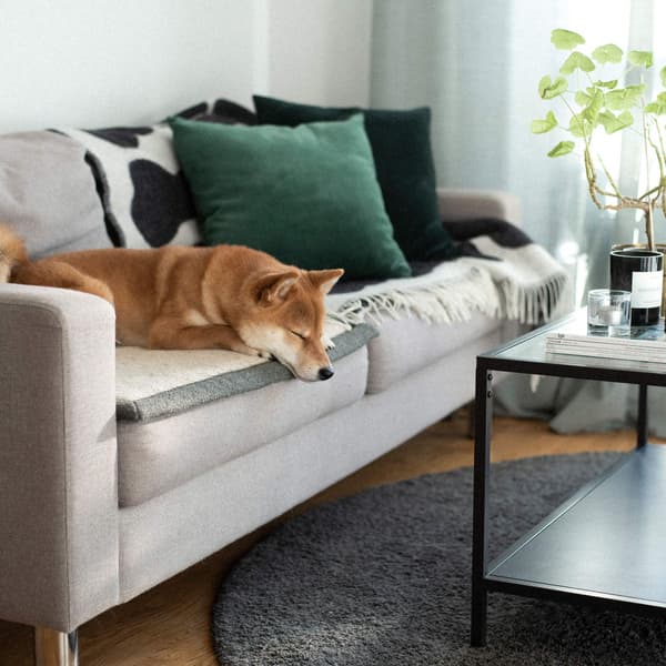 Resefilt Snuggle S Greige, view: 5