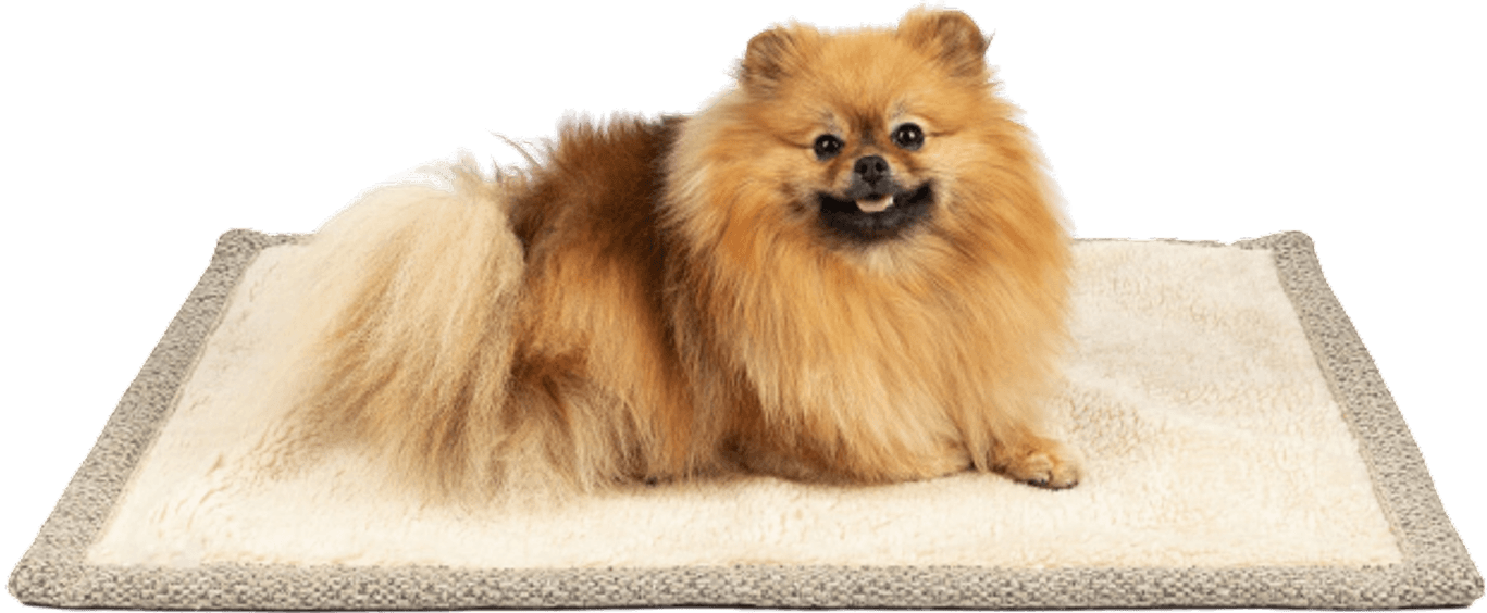 Resefilt Snuggle S Greige, view: 4