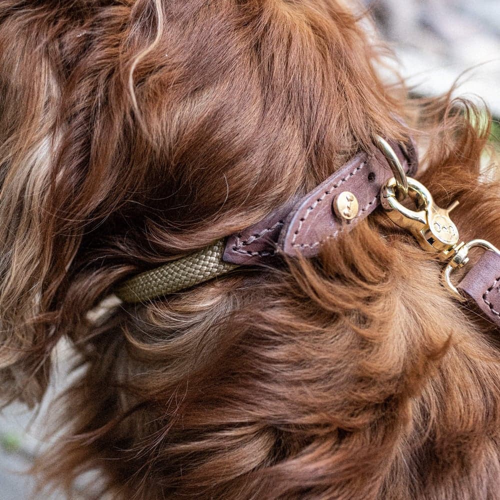 Torekov Halsband Golden Sand M-XL, view: 1