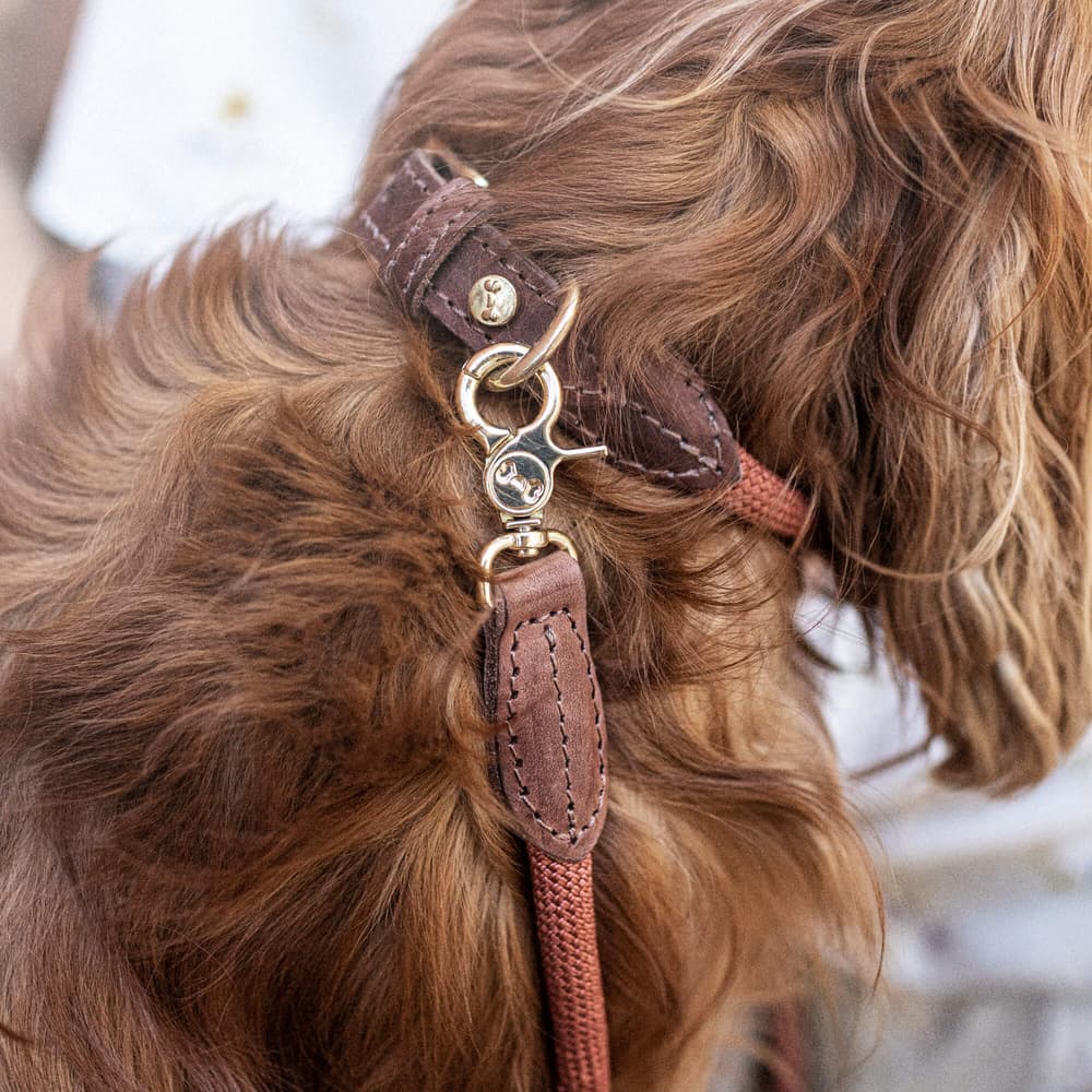 Torekov Halsband Rusty Bronze M-XL, view: 1