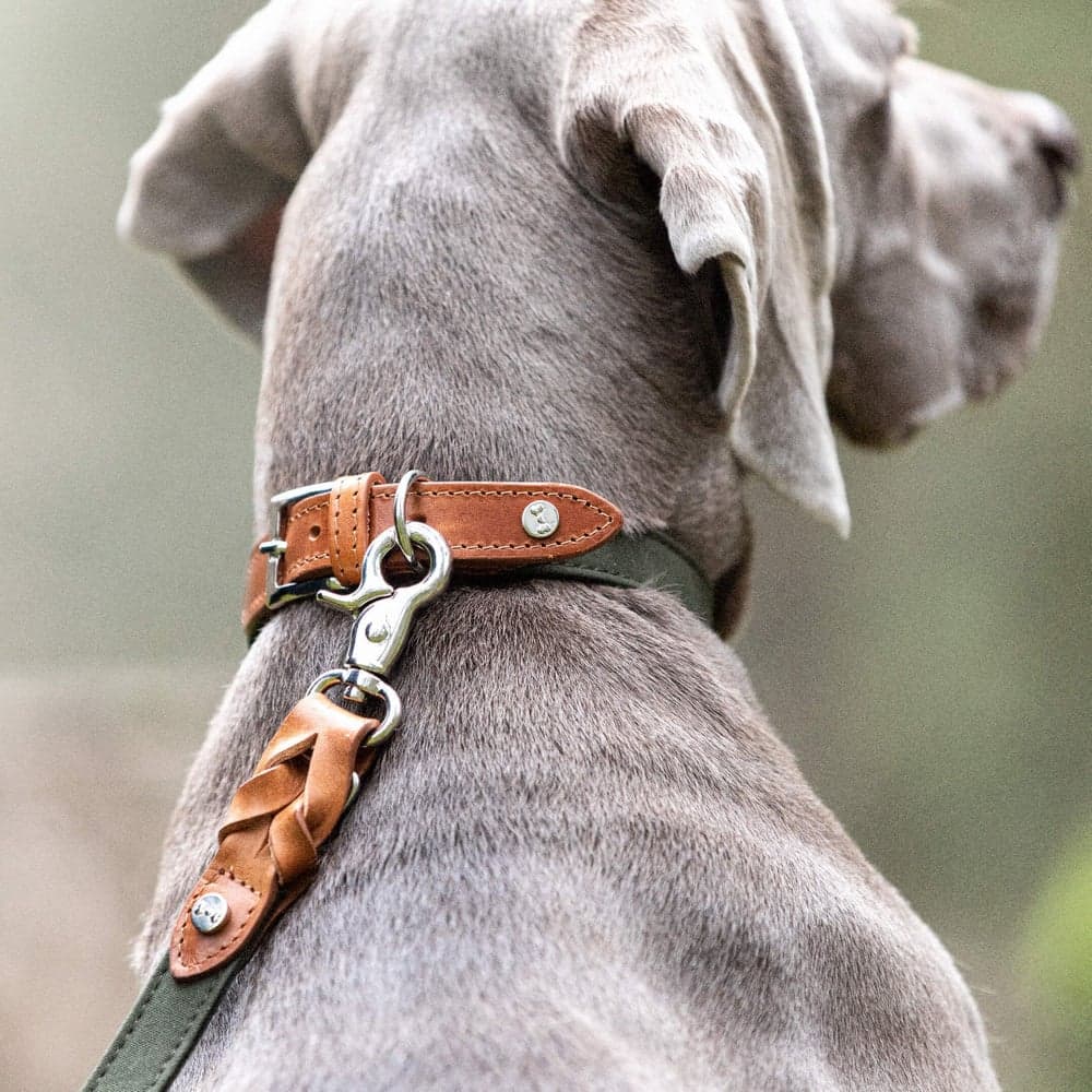 Signature Citykoppel Cognac/Khaki Large, view: 2