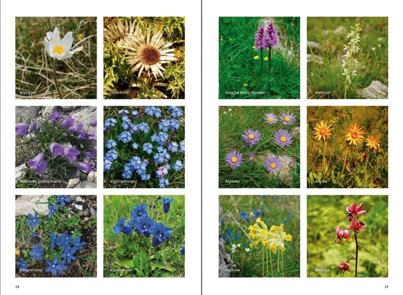 Vandra i Provence, view: 2