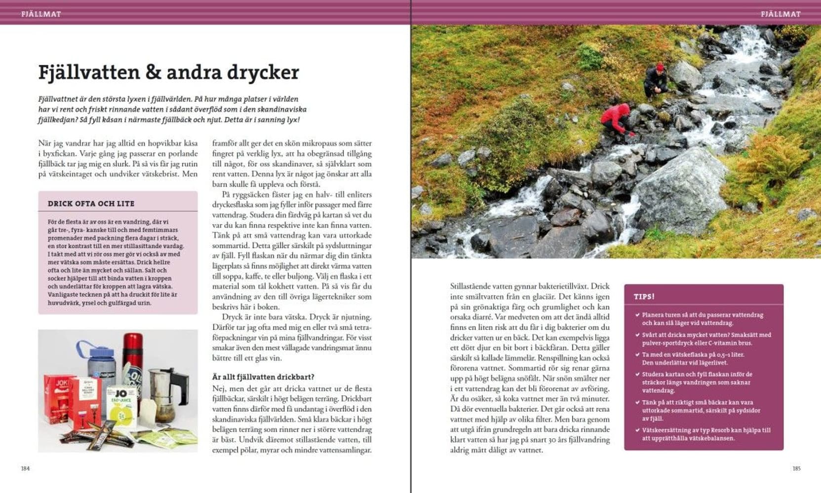 Vandra i fjällen, view: 8