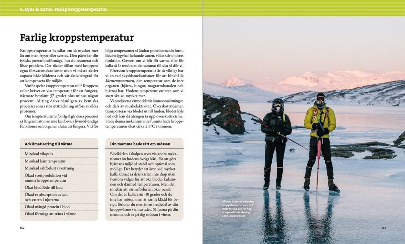 Vildmarksmedicin, view: 7