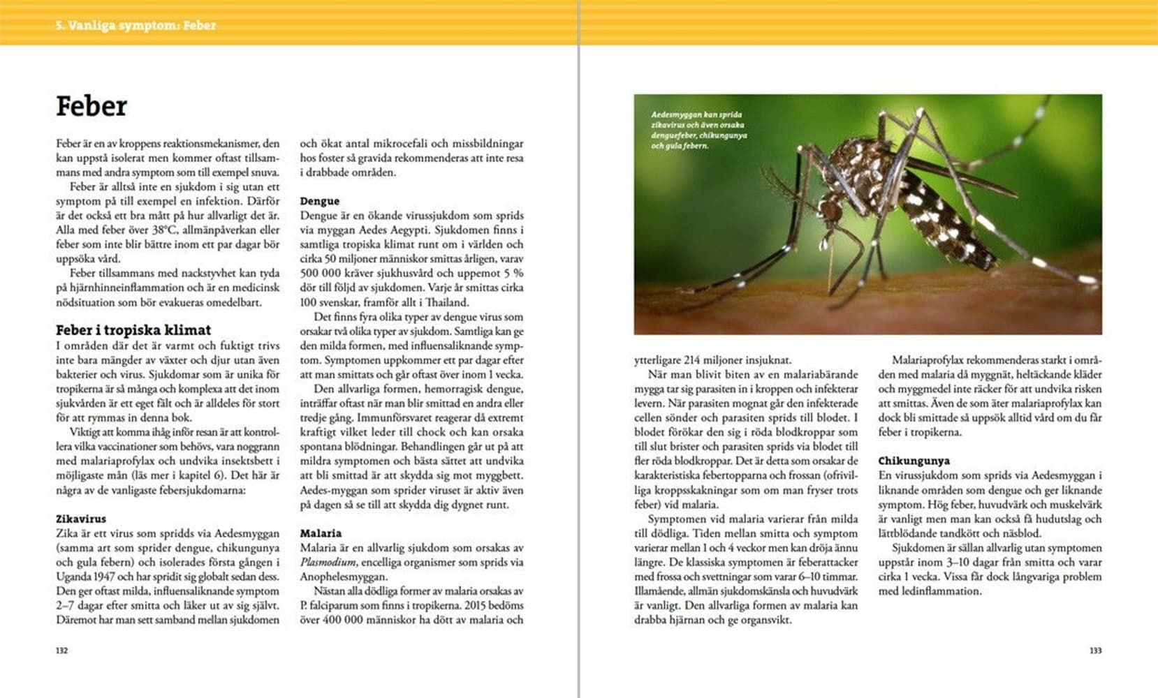 Vildmarksmedicin, view: 6