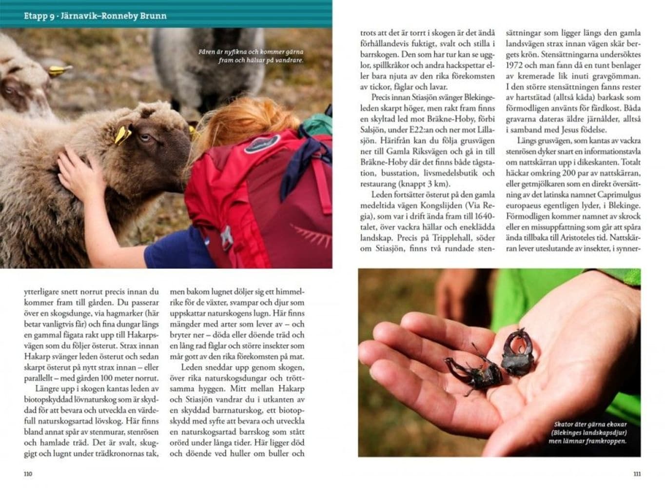 Vandra Blekingeleden, view: 6