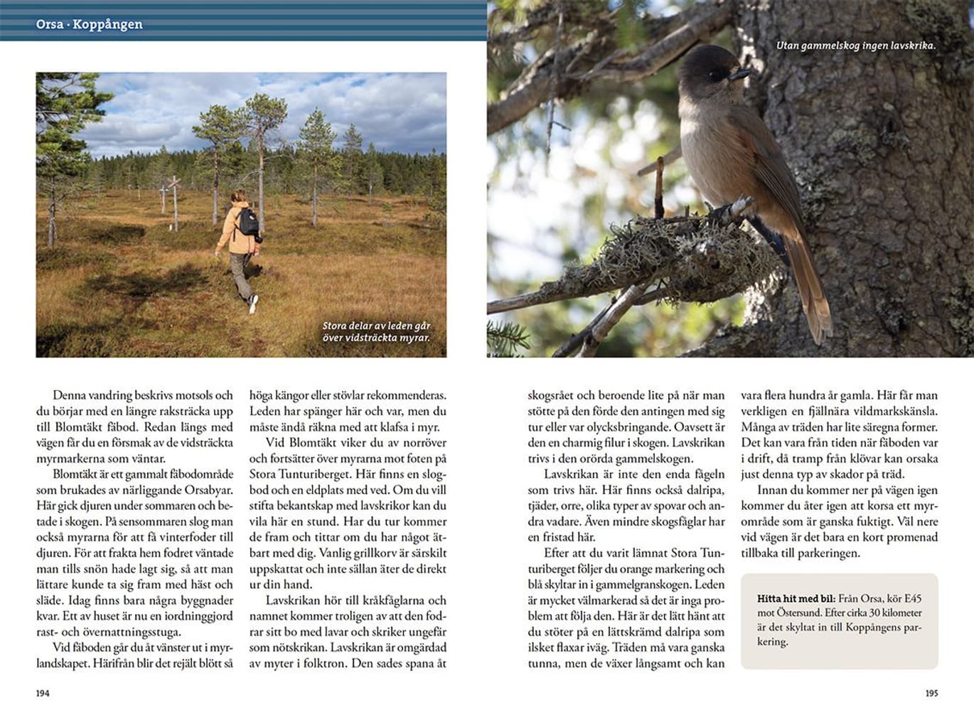 Vandring kring Siljan, view: 9