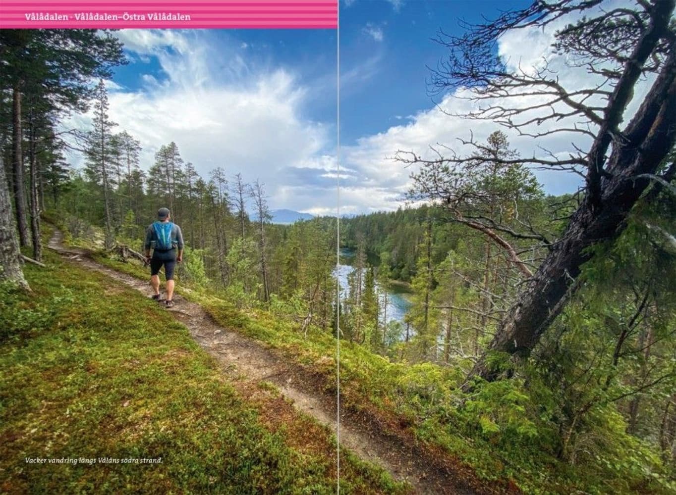 Vandra i Årefjällen, view: 13