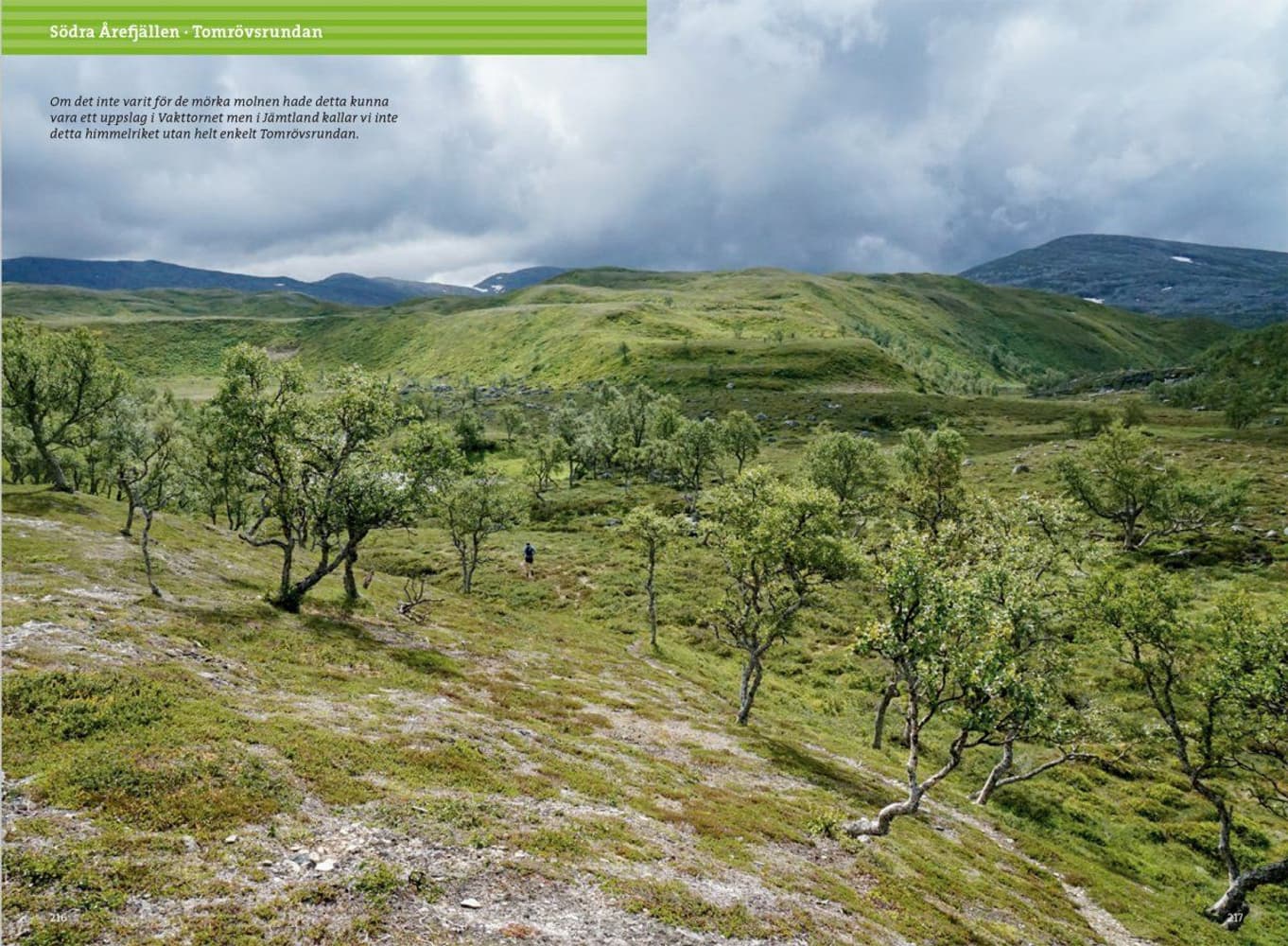 Dagsturer i Jämtland, view: 8